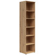 REGAL Eiche Artisan  - Anthrazit/Eiche Artisan, MODERN, Holzwerkstoff/Kunststoff (45/195/40cm) - Carryhome