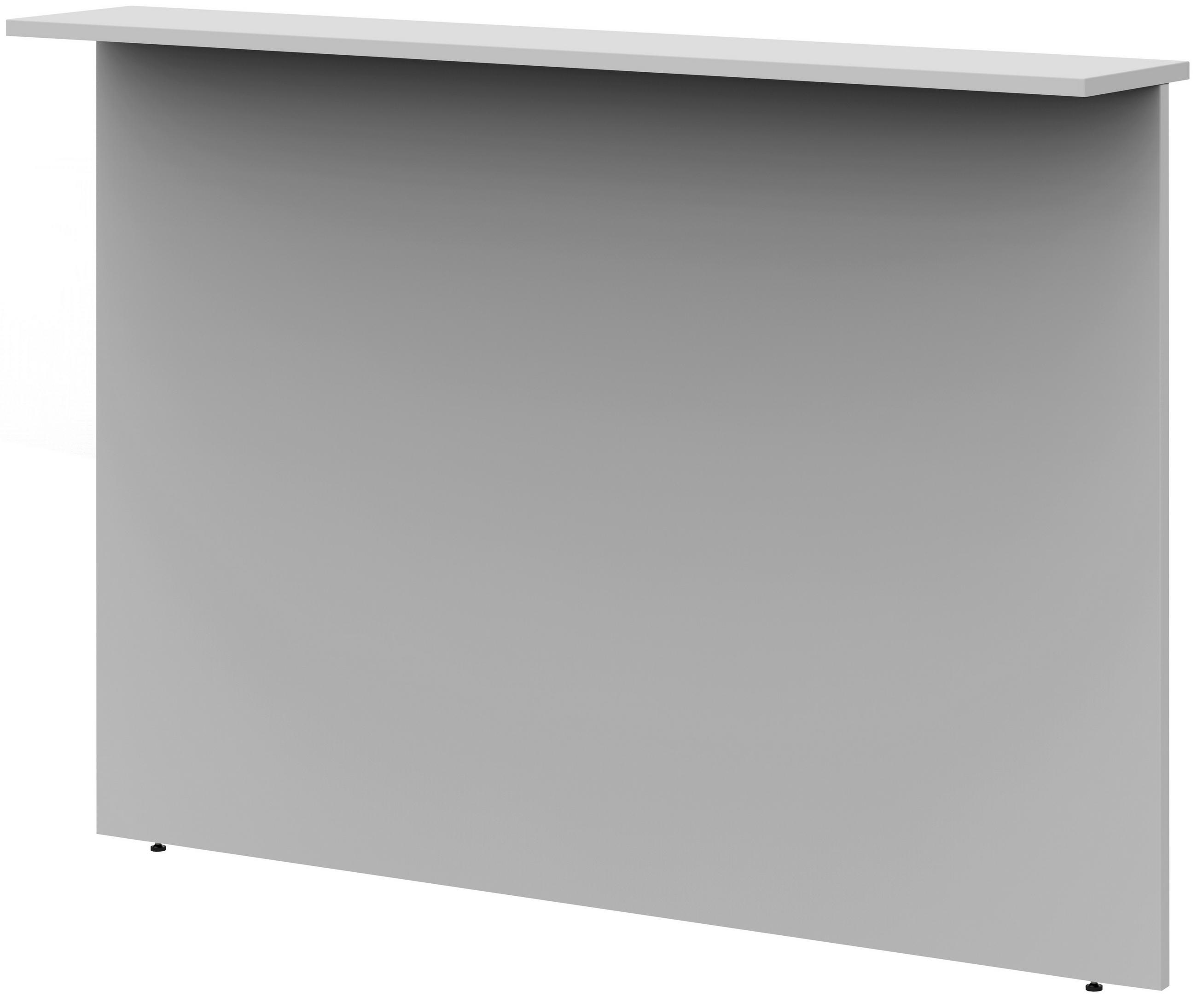 SICHTBLENDE Hellgrau  - Hellgrau, Design, Holzwerkstoff (160/112,9/25cm) - Moderano