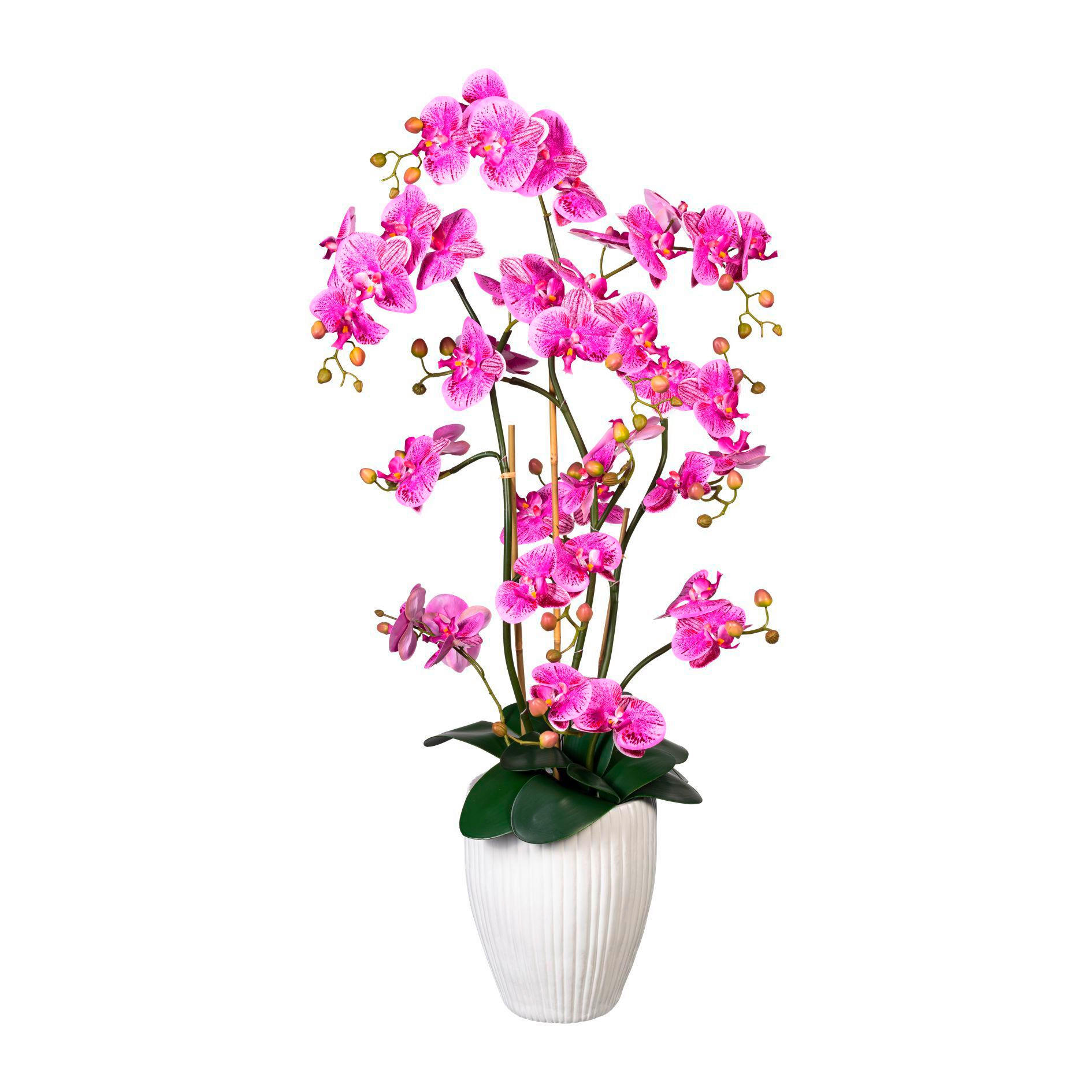 ORCHIDEE Orchidee  - Lila/Braun, Trend, Keramik/Kunststoff (110cm) - P & B