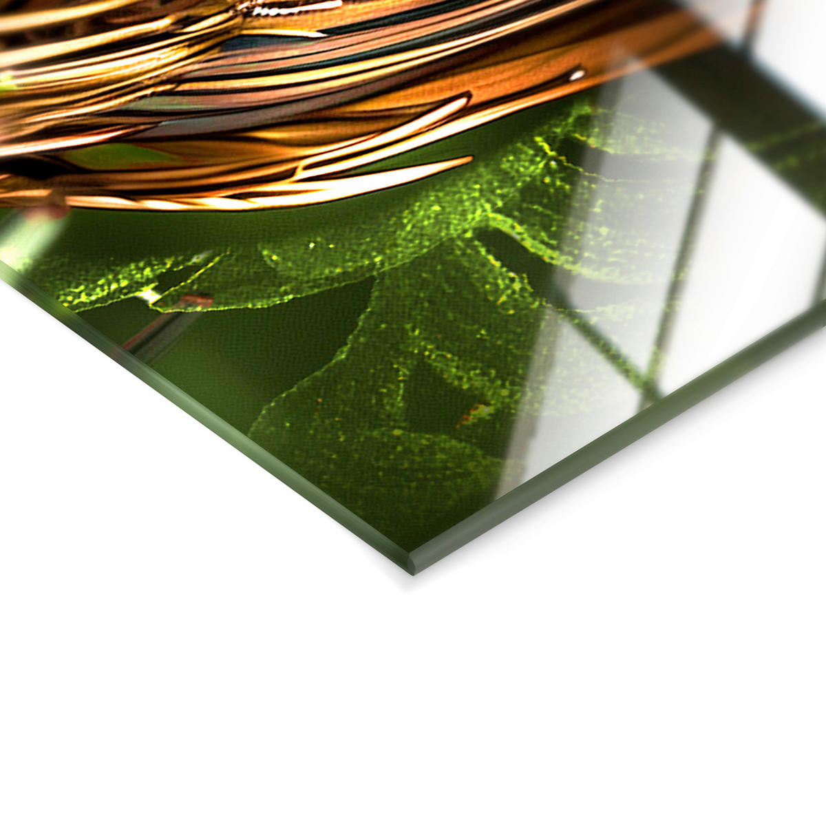 GLASBILD 70/100 cm  - Multicolor, Basics, Glas/Papier (70/100cm)