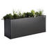 PFLANZENSCHALE - Dunkelgrau, Basics, Metall (201/77/53cm) - Biohort PFLANZENSCHALE - Dunkelgrau, Basics, Metall (201/77/53cm) - Biohort