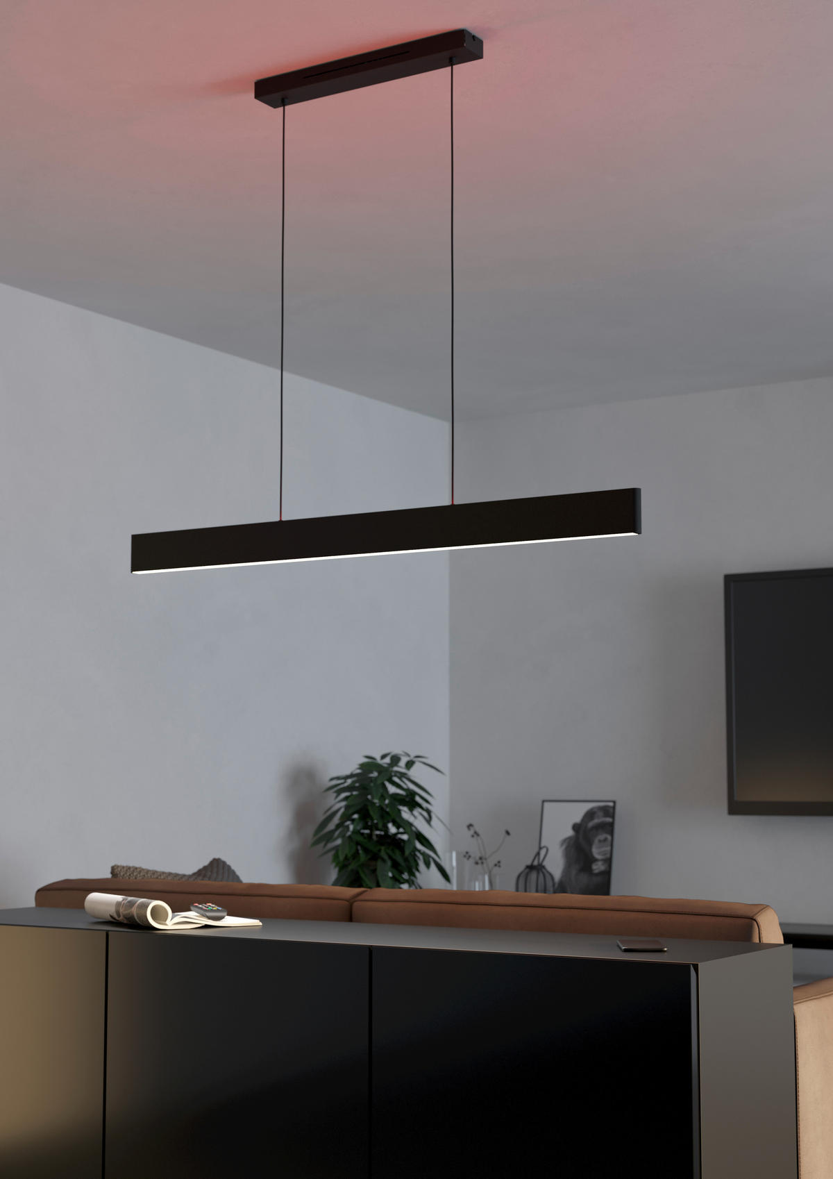 HÄNGELEUCHTE 117/7/110 cm  - Schwarz/Weiß, Basics, Kunststoff/Metall (117/7/110cm)