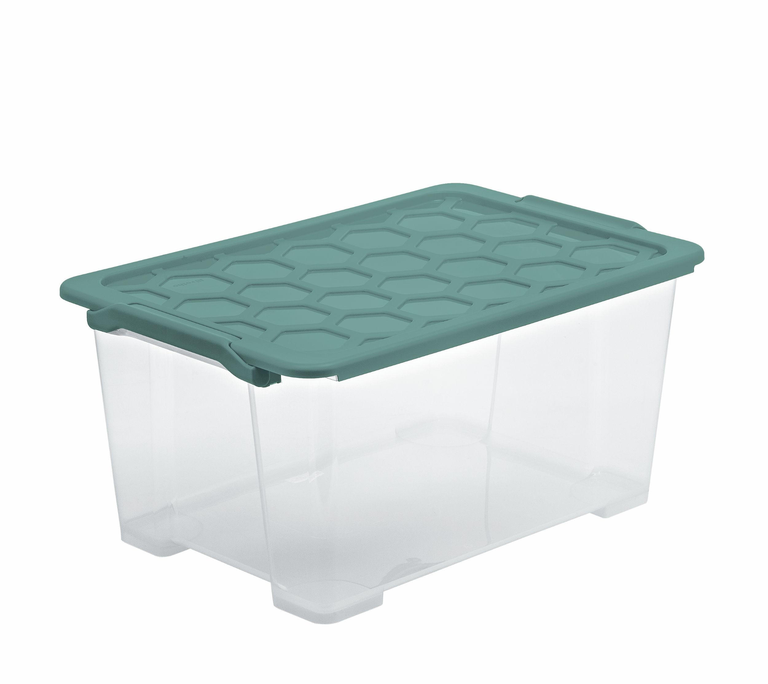 BOX MIT DECKEL EVO SAFE  - Transparent/Grün, Basics, Kunststoff (59/39,5/28cm) - Rotho