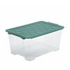 BOX MIT DECKEL EVO SAFE  - Transparent/Grün, Basics, Kunststoff (59/39,5/28cm) - Rotho