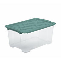 BOX MIT DECKEL EVO SAFE  - Transparent/Grün, Basics, Kunststoff (59/39,5/28cm) - Rotho