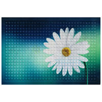 DVEŘNÍ ROHOŽKA, 40/60 cm - petrolej, Basics, textil/plast (40/60cm)