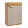 GARDEROBE 5-teilig  in 170/195/40 cm  - Taupe/Eichefarben, Design, Glas/Holz (170/195/40cm) - Novel