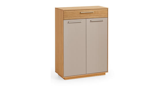 GARDEROBE 5-teilig in 170/195/40 cm - Taupe/Eichefarben, Design, Glas/Holz (170/195/40cm) - Novel