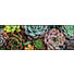 FUßMATTE 60/180 cm Blume Multicolor - Multicolor, Kunststoff/Textil (60/180cm) - Esposa FUßMATTE 60/180 cm Blume Multicolor - Multicolor, Kunststoff/Textil (60/180cm) - Esposa