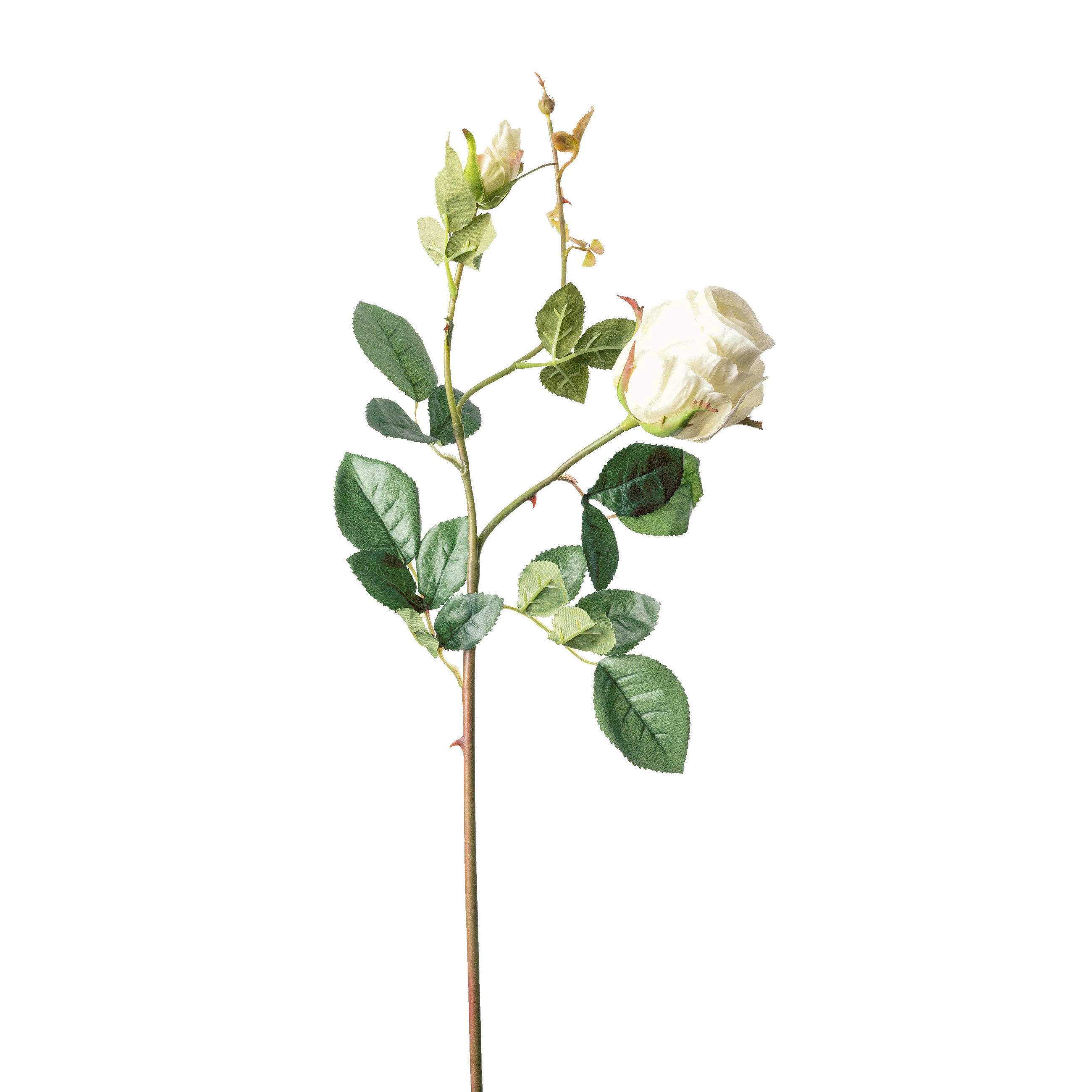 ROSE - Weiss/Grün, Basics, Kunststoff (80cm)