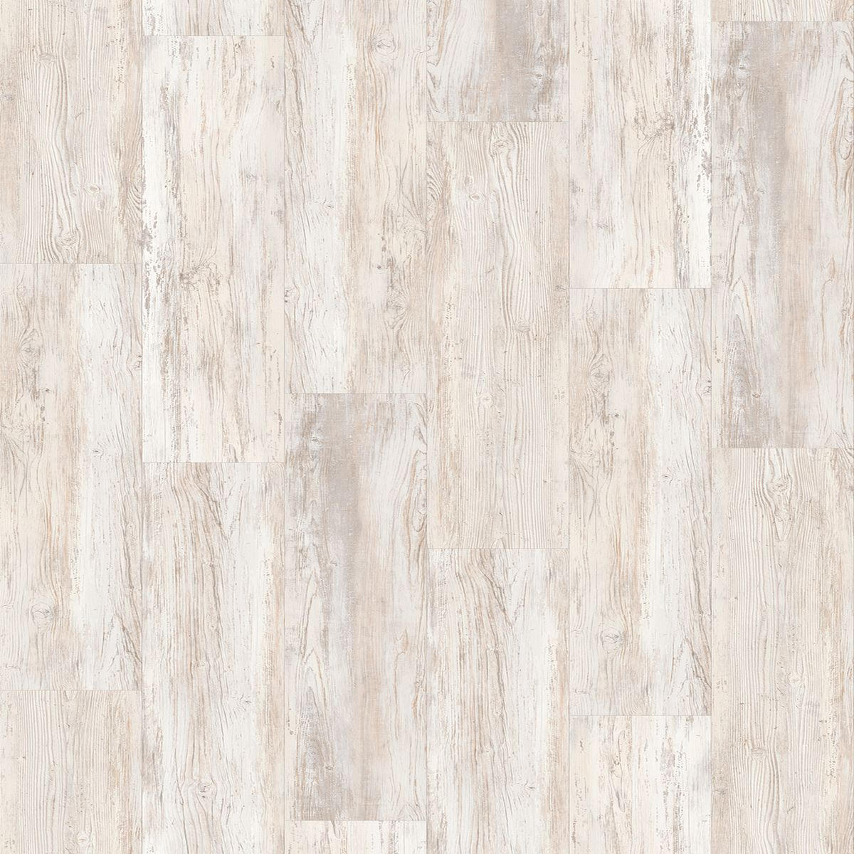 Designboden Pine weiß Basic 30 1730627 per m²