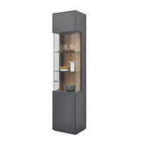VITRINE Graphitfarben  46,9/205,5/37,1 cm  - Graphitfarben, Design, Glas/Holzwerkstoff (46,9/205,5/37,1cm) - Dieter Knoll