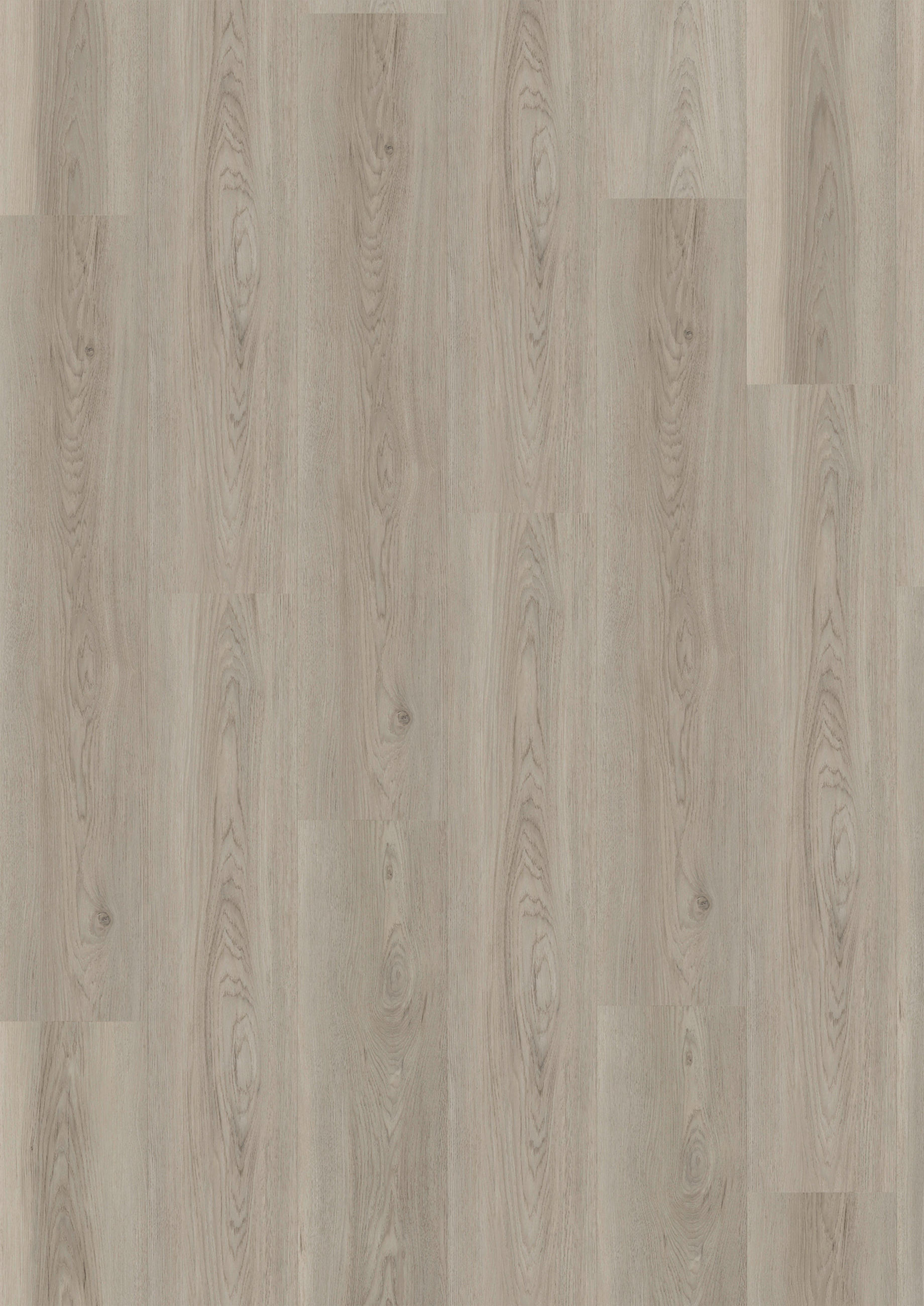 VINYLBODEN SPC 5mm Breitdiele inkl. Trittschall strong  per  m² - Eichefarben, Basics, Kunststoff (22,6/122/0,5cm)