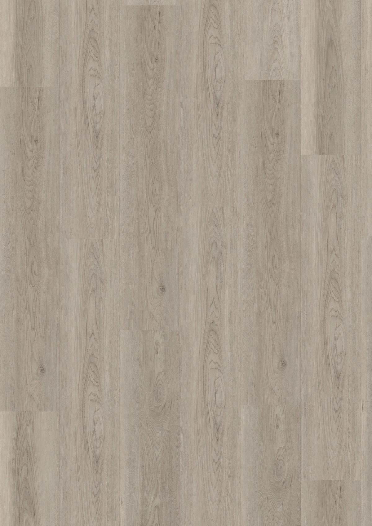 VINYLBODEN SPC 5mm Breitdiele inkl. Trittschall strong  per  m² - Eichefarben, Basics, Kunststoff (22,6/122/0,5cm)