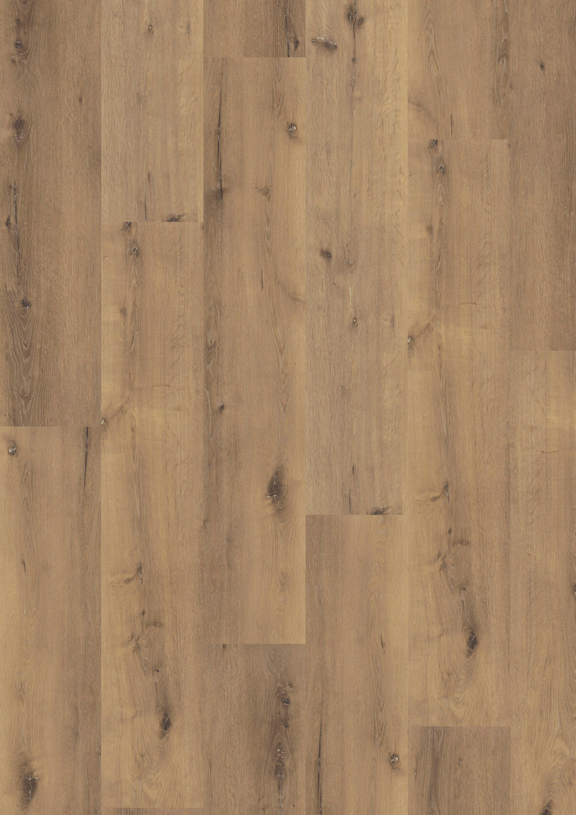 VINYLBODEN Novo Eiche Namib 100002201  per  m² - Design, Holz (120,5/21/0,98cm) - Tilo