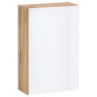 ZÁVESNÁ SKRINKA, 40/64/20 cm - biela/farba duba, Konventionell, kompozitné drevo/sklo (40/64/20cm) - Held