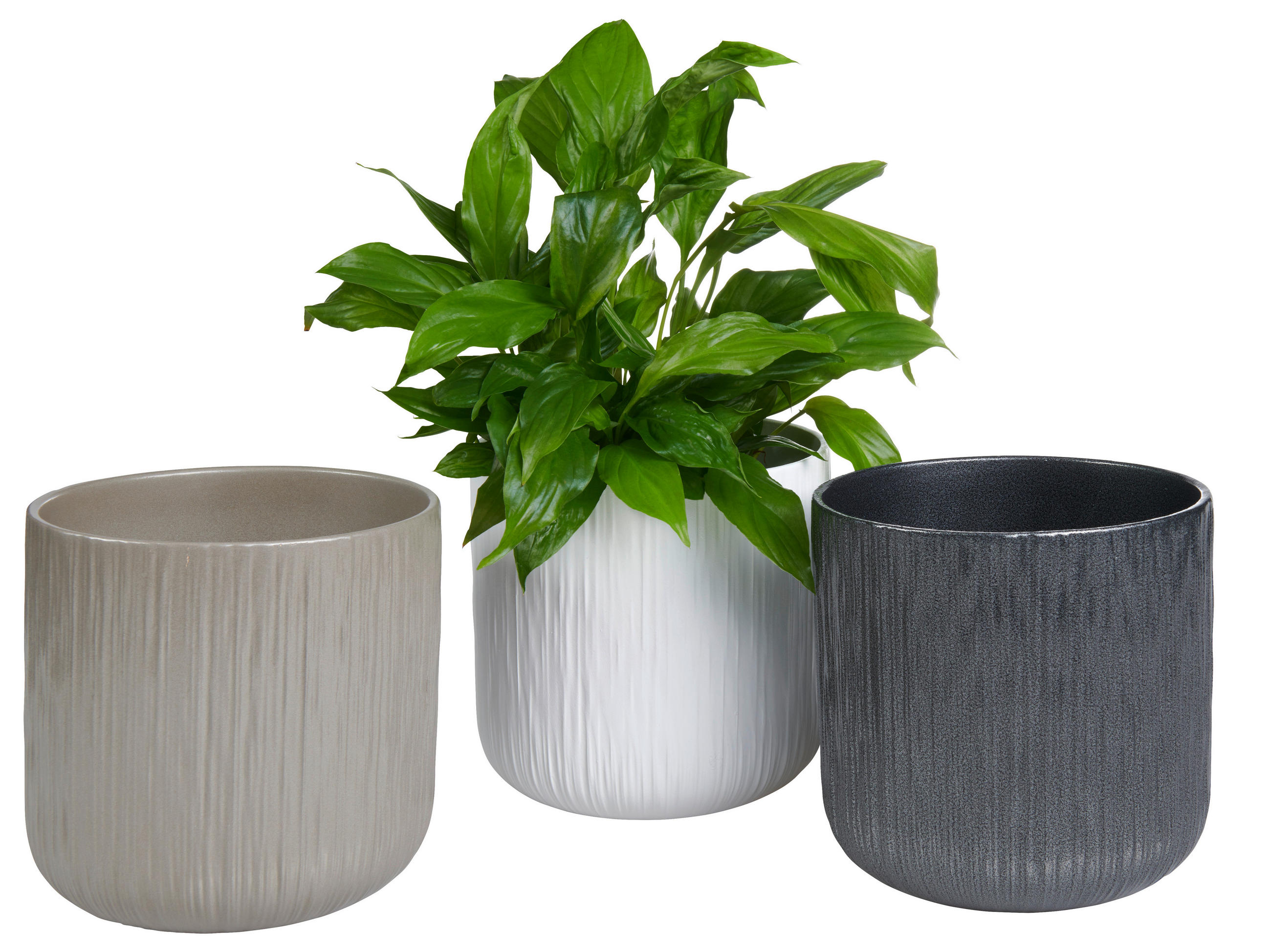 ÜBERTOPF 15,5/14,5 cm  - Goldfarben/Schwarz, Basics, Keramik (15,5/14,5cm) - Ambia Home