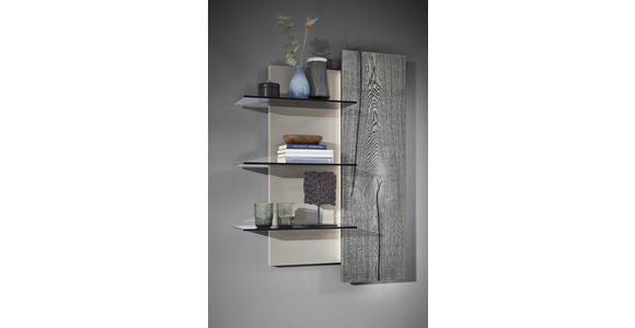 WOHNWAND in Grau, Eichefarben, Fango - Edelstahlfarben/Fango, Design, Glas/Holz - Dieter Knoll