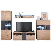 OBÝVACÍ STĚNA, antracitová, čiré, barvy dubu - barvy dubu/černá, Design, kov/kompozitní dřevo (330/198/50cm) - Livetastic