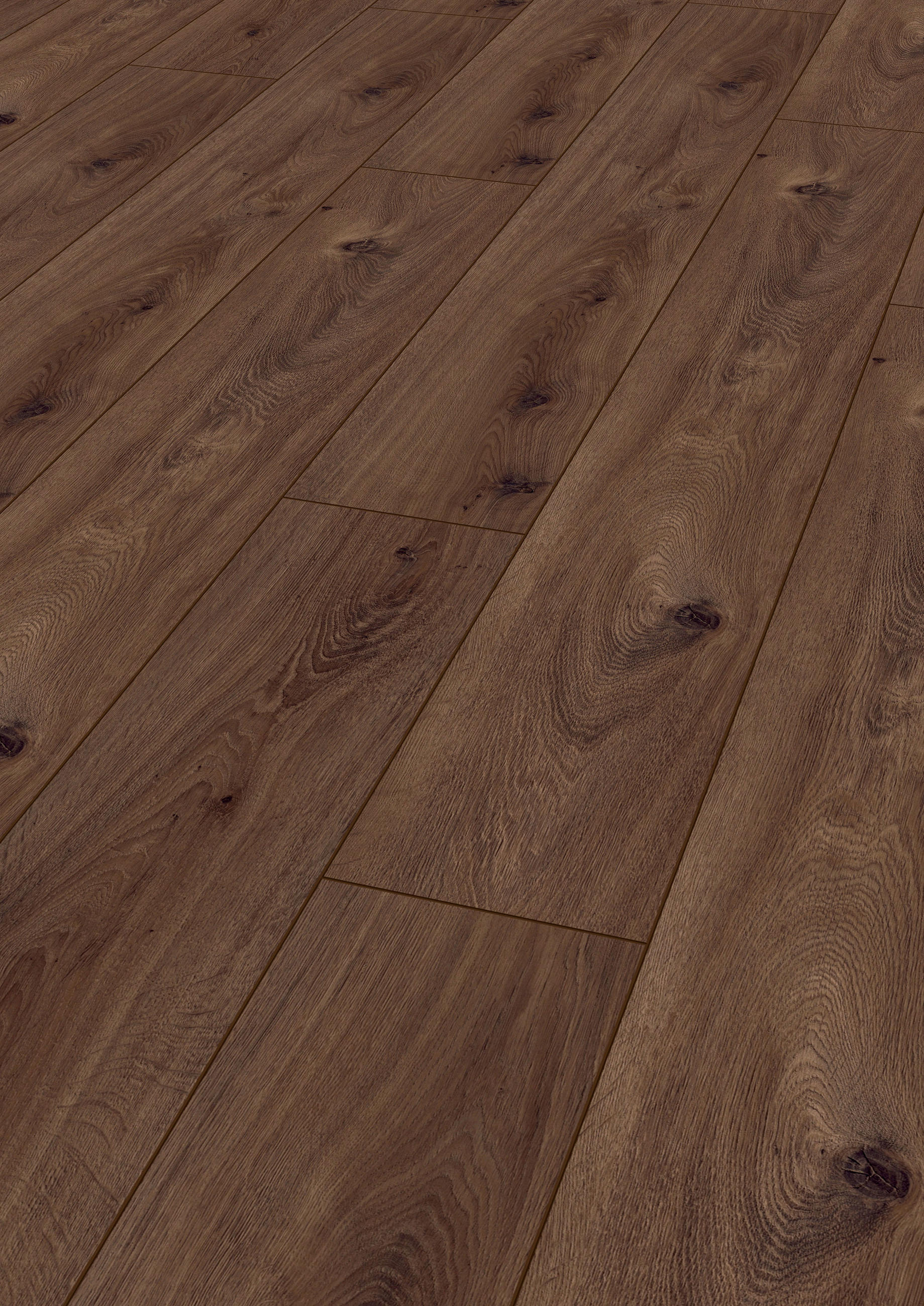 LAMINATBODEN Exquisit  - Eichefarben, KONVENTIONELL, Holz (138.0/19.3/0.8cm)