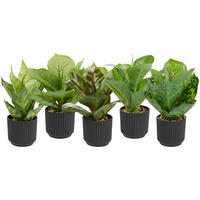 KONSTVÄXT 18 cm  - grön/svart, Basics, textil/plast (18cm)