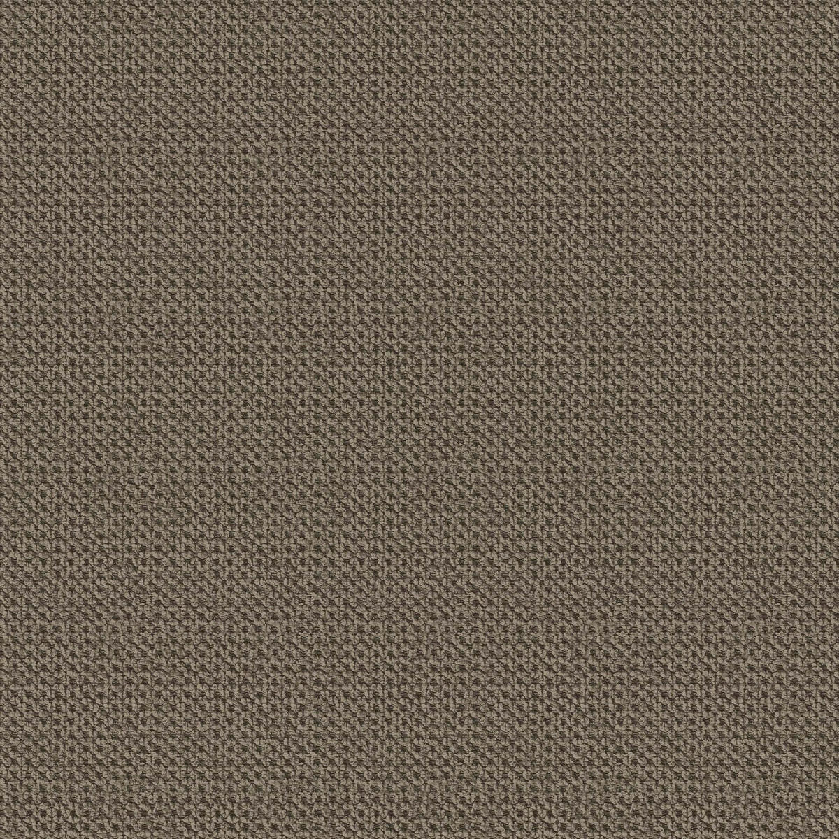 ECKSOFA in Webstoff Braun  - Schwarz/Braun, Konventionell, Kunststoff/Textil (231/157cm) - P & B