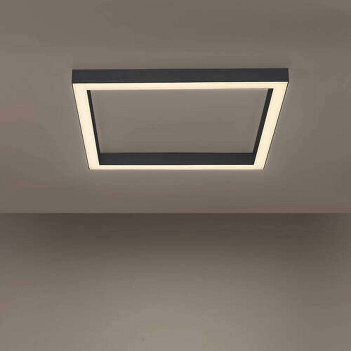 STROPNÍ LED SVÍTIDLO, 55/55/3,9 cm - antracitová, Design, kov/plast (55/55/3,9cm)