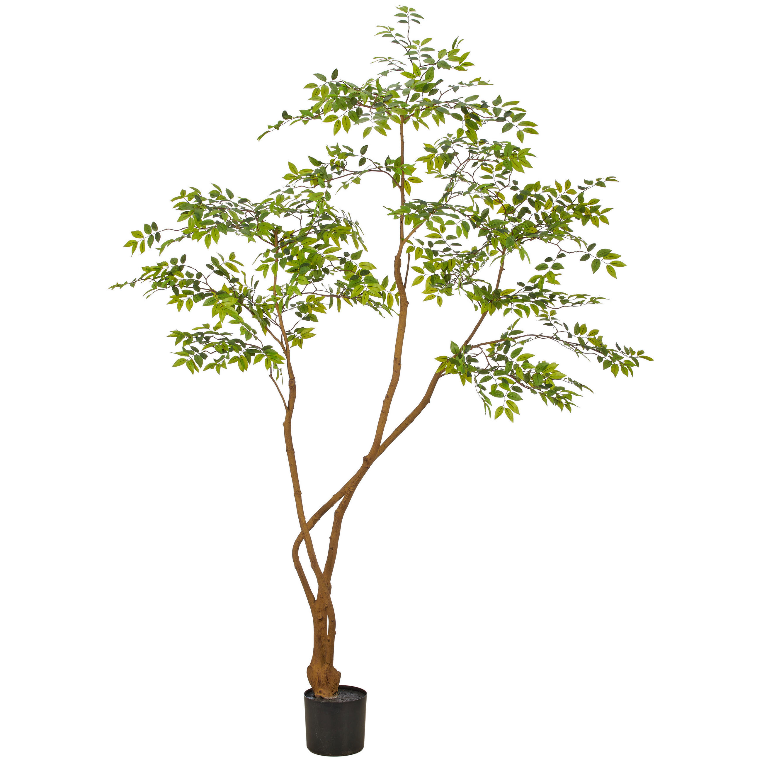 KUNSTPFLANZE 210 cm  - Schwarz/Braun, Basics, Kunststoff (210cm)