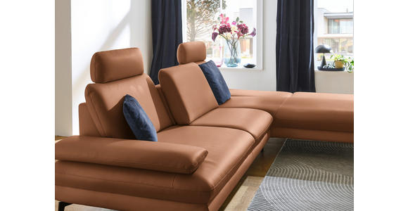 ECKSOFA in Echtleder Hellbraun 308/195 cm - Hellbraun/Schwarz, Design, Leder/Metall (308/195cm) - Dieter Knoll