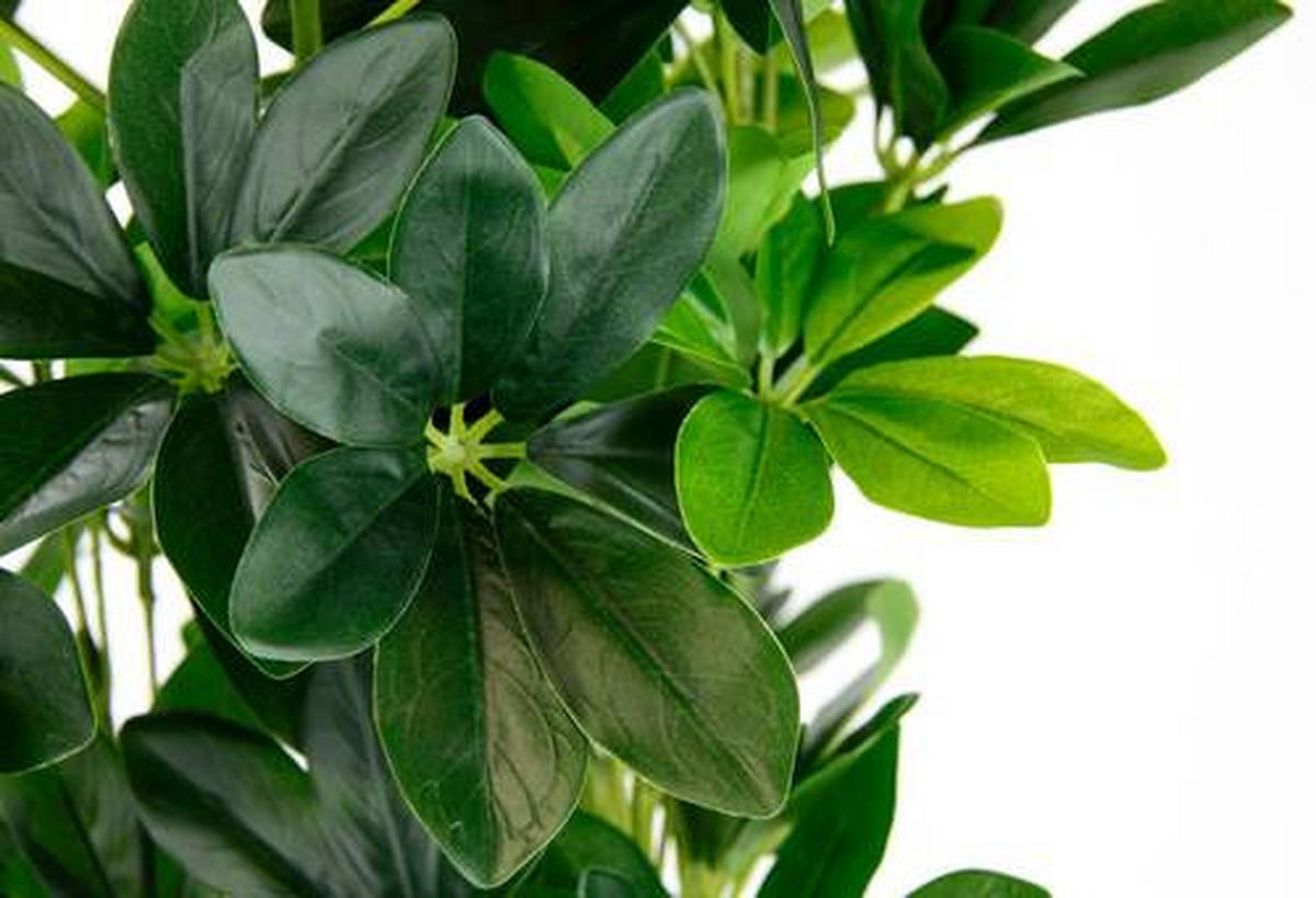 KUNSTPFLANZE 80 cm  - Grün, Basics, Kunststoff/Textil (80cm)