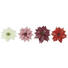 Dekoclip-Set 4-tlg. - Bordeaux/Rot, Kunststoff/Metall (11/5/11cm) Dekoclip-Set 4-tlg. - Bordeaux/Rot, Kunststoff/Metall (11/5/11cm)