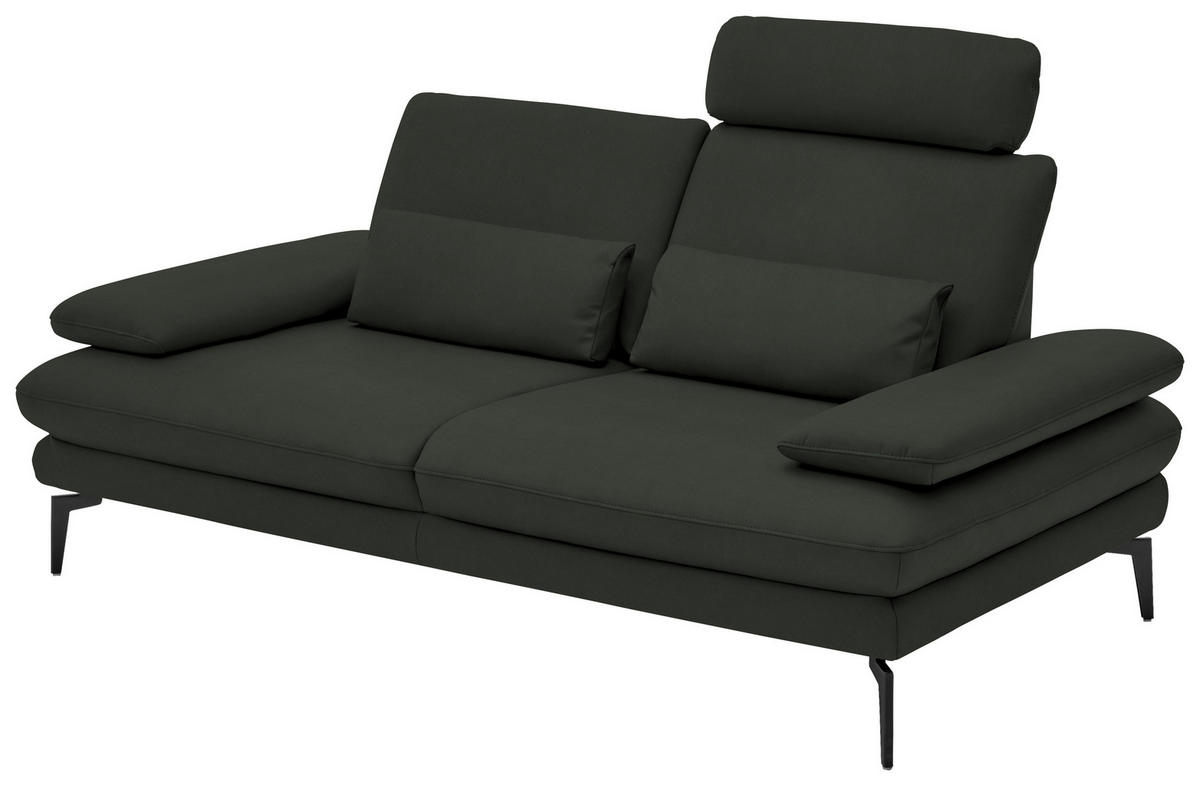 2,5-SITZER in Echtleder Dunkelgrün  - Dunkelgrün/Schwarz, Design, Leder/Metall (196/86/104cm) - Dieter Knoll