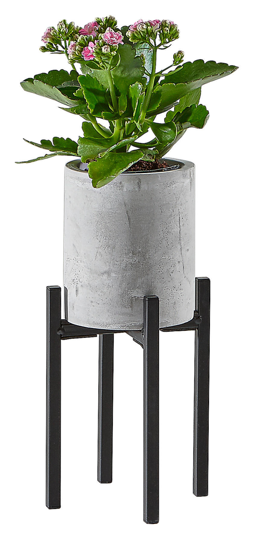 PFLANZENTOPF   - Schwarz/Grau, Design, Stein/Metall (9,5/25,5cm) - Ambia Home