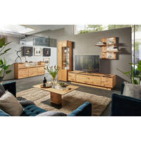 WOHNWAND  in Eichefarben  320/205,7/53,7 cm  - Eichefarben/Schwarz, Natur, Glas/Holz (320/205,7/53,7cm) - Valnatura