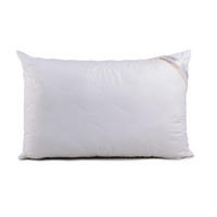 PÁRNA 50/70 cm   - natúr, Basics, textil (50/70cm) - Naturtex