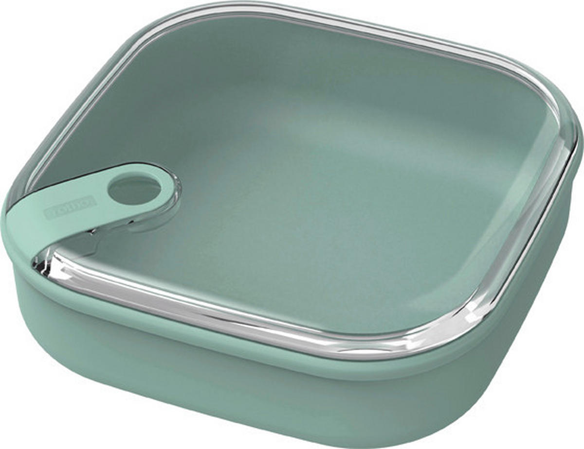 FRISCHHALTEDOSE Ela 1 L  - Transparent/Grün, Basics, Kunststoff (19,5/19,5/6,7cm) - Rotho