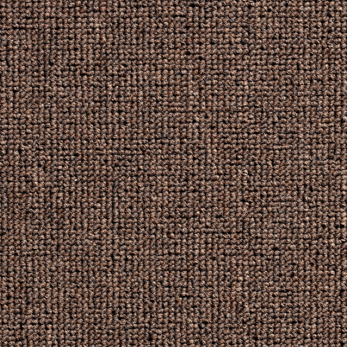 TEPPICHFLIESE Astra Stripe 194 50/50 cm in Dunkelbraun  - Dunkelbraun, Basics, Textil (50/50cm)