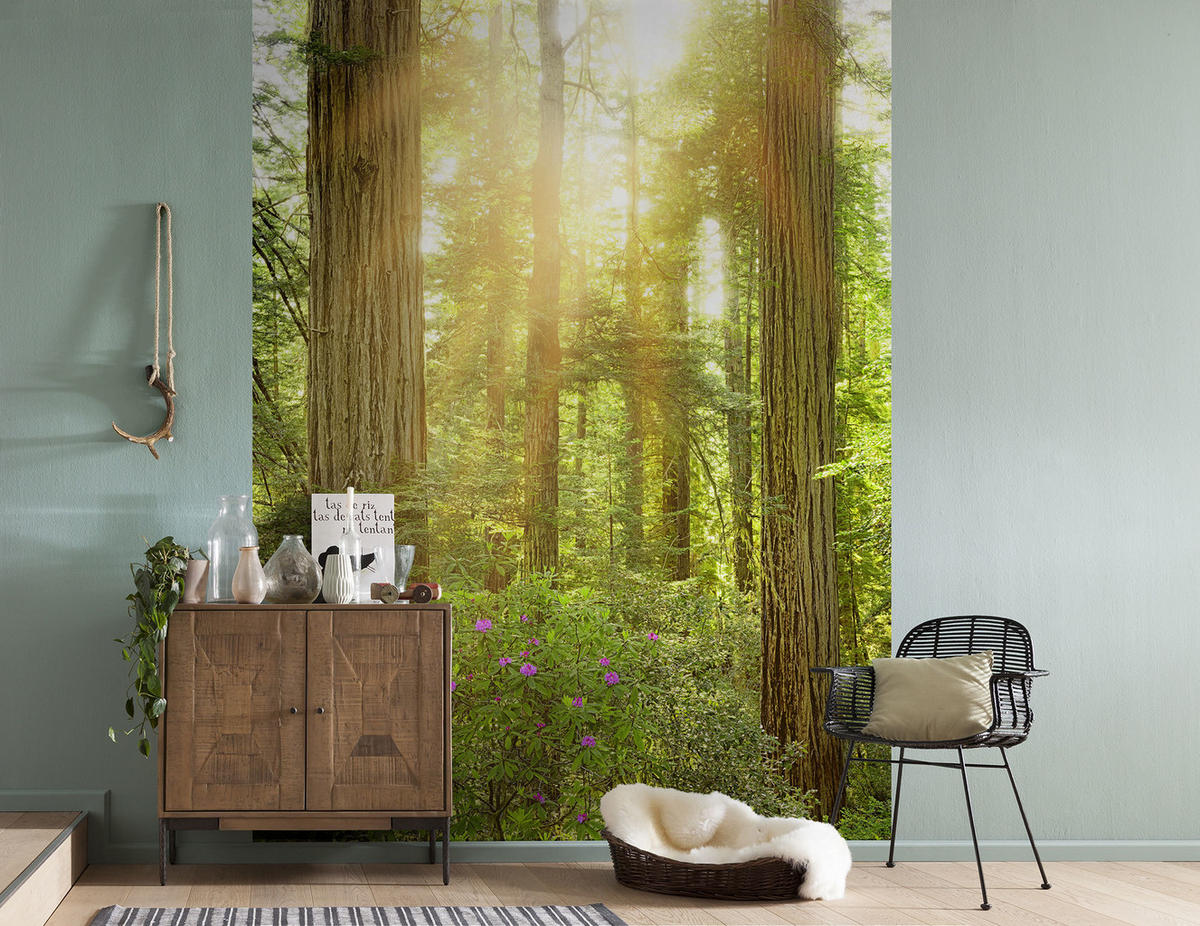 VLIESTAPETE  - Natur (200/250cm) - Komar