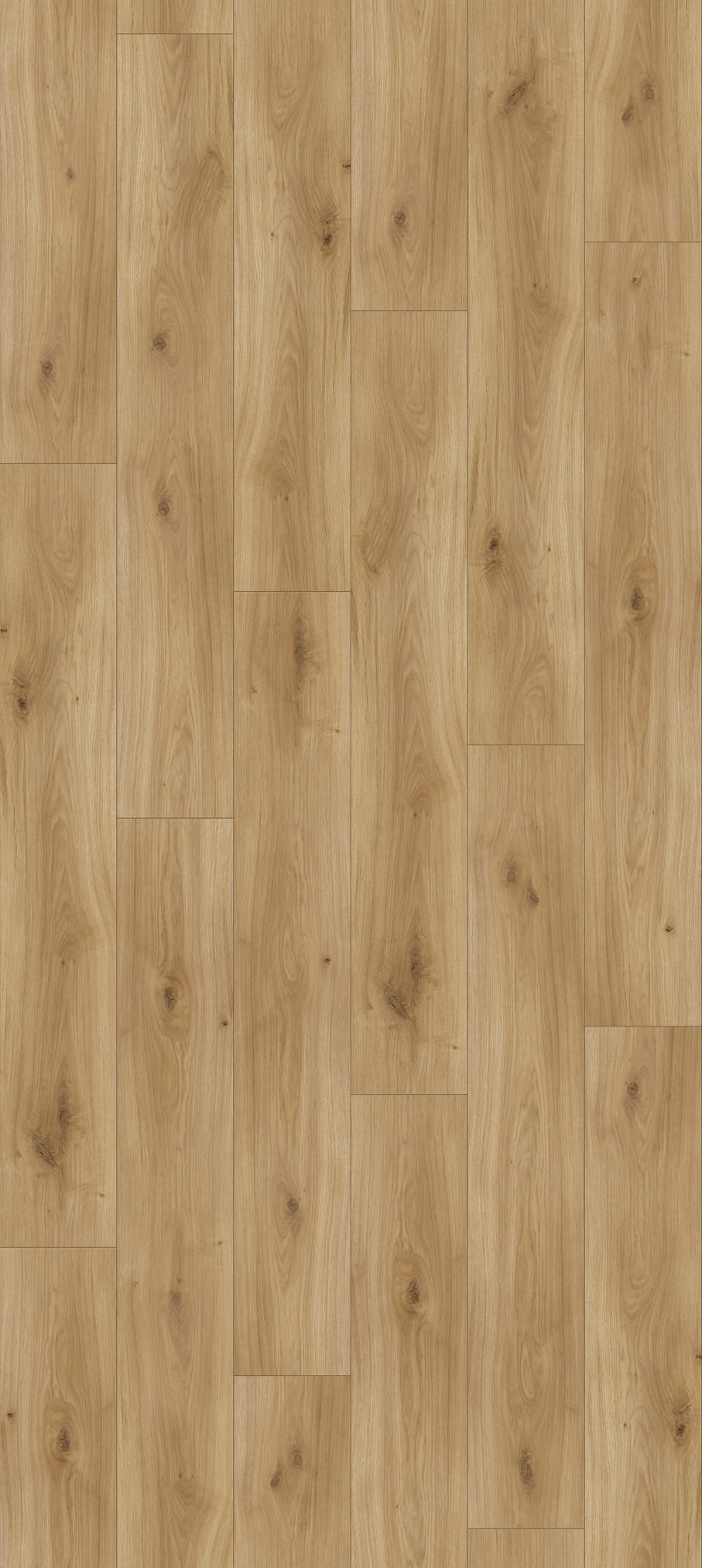 LAMINATBODEN Basic 200 M4V  per  m² - Eichefarben/Dunkelgelb, KONVENTIONELL, Holzwerkstoff (128,5/19,4/0,7cm) - Parador