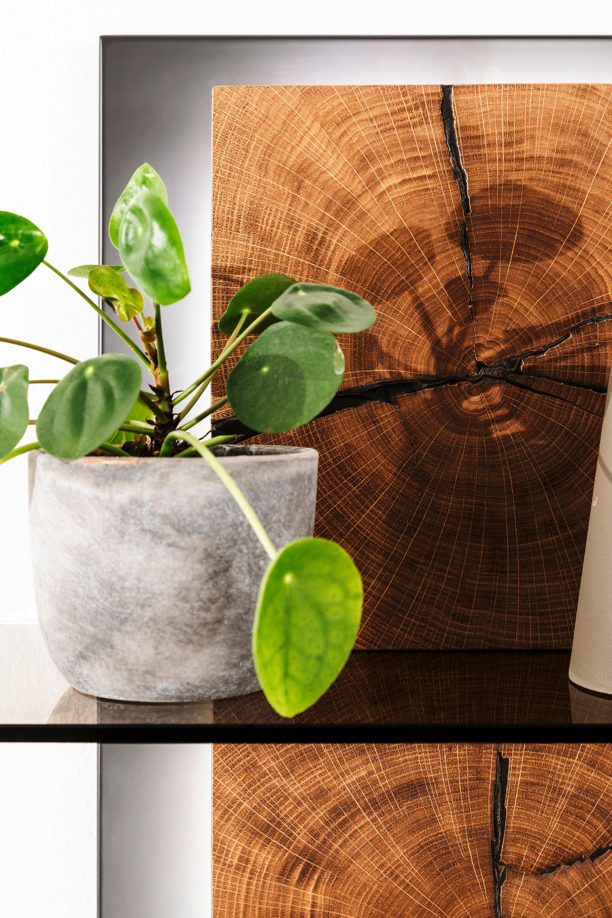 WANDREGAL 60/91/26 cm  - Wildeiche/Anthrazit, Design, Glas/Holz (60/91/26cm) - MID.YOU