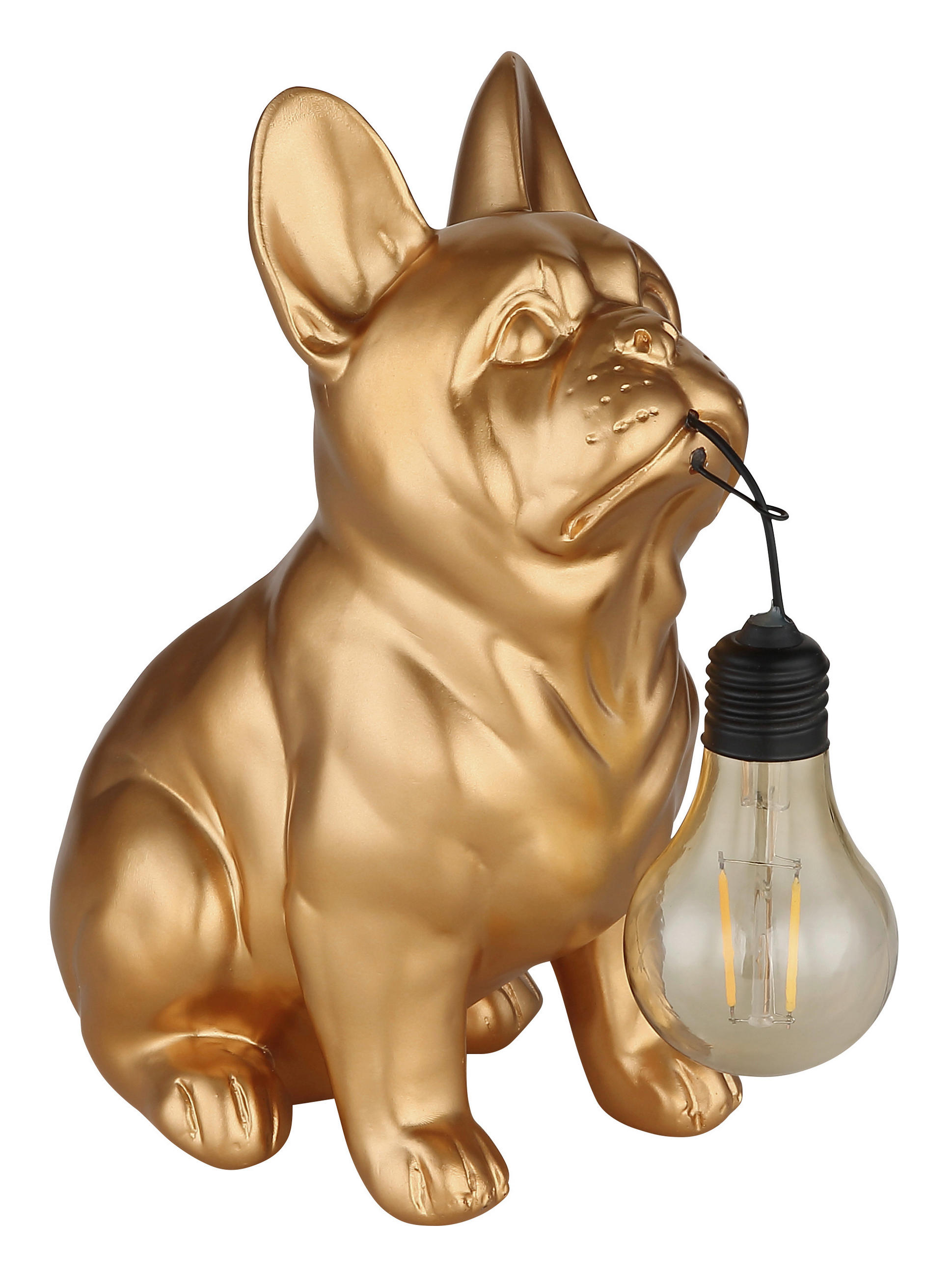 SOLARLEUCHTE Greenday 23/11,8/23,5 cm  - Goldfarben, Design, Kunststoff (23/11,8/23,5cm) - Globo