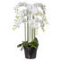 KUNSTBLUME Orchidee - Weiß/Grün, Basics, Kunststoff (110cm) KUNSTBLUME Orchidee - Weiß/Grün, Basics, Kunststoff (110cm)