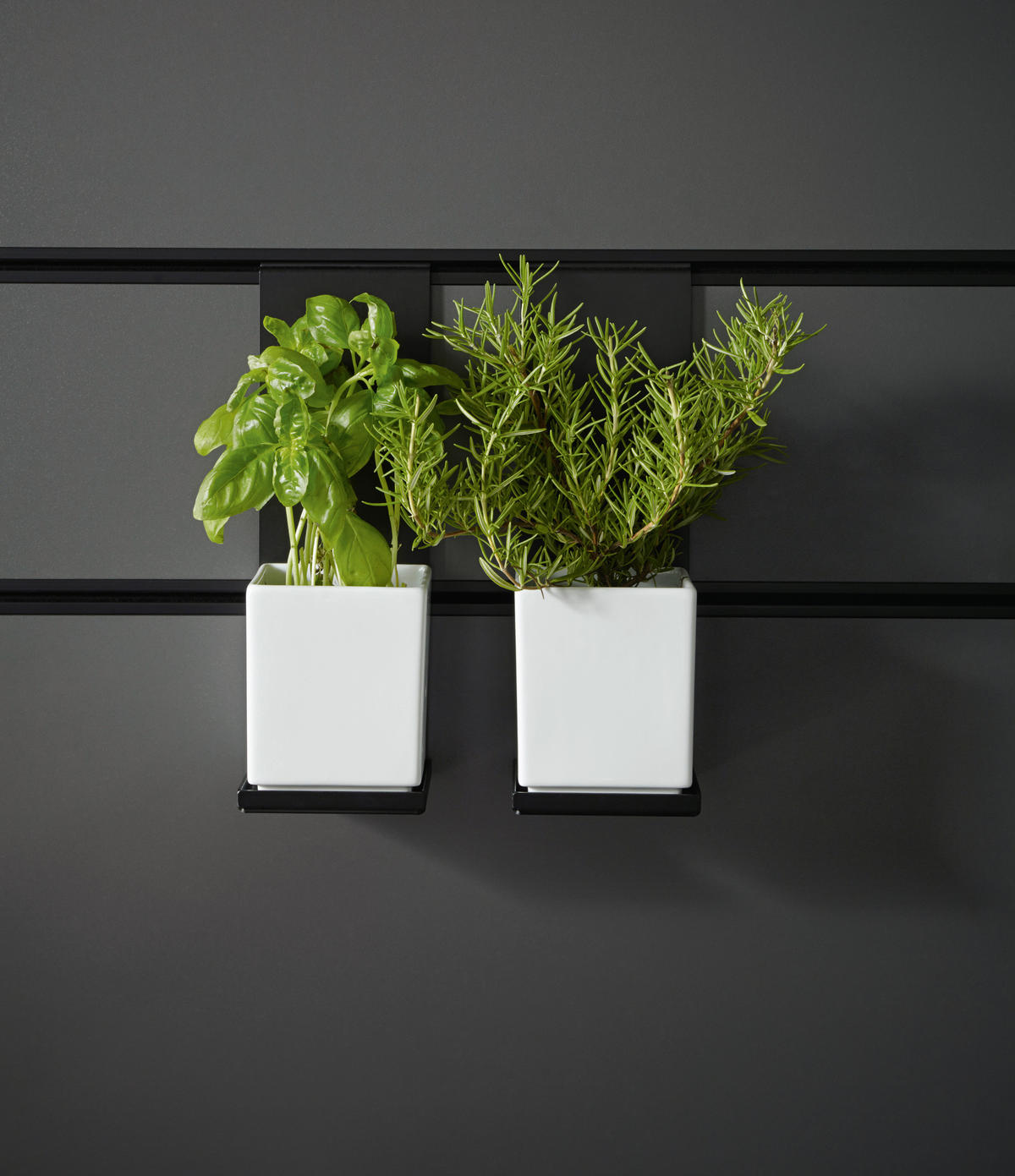 EINBAUKÜCHE SILVIA  - Rot/Schwarz, Design, Holzwerkstoff - Novel