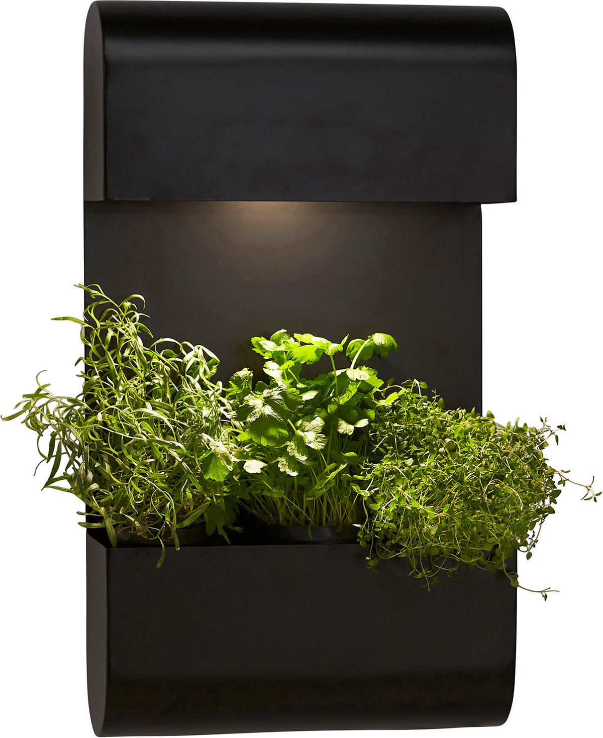 AUßENWANDLEUCHTE 70/5/40 cm   - Schwarz, Basics, Metall (70/5/40cm)