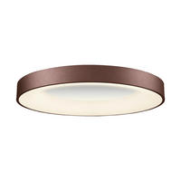 STROPNÍ LED SVÍTIDLO, 60/9 cm  - bílá, Basics, kov/plast (60/9cm)