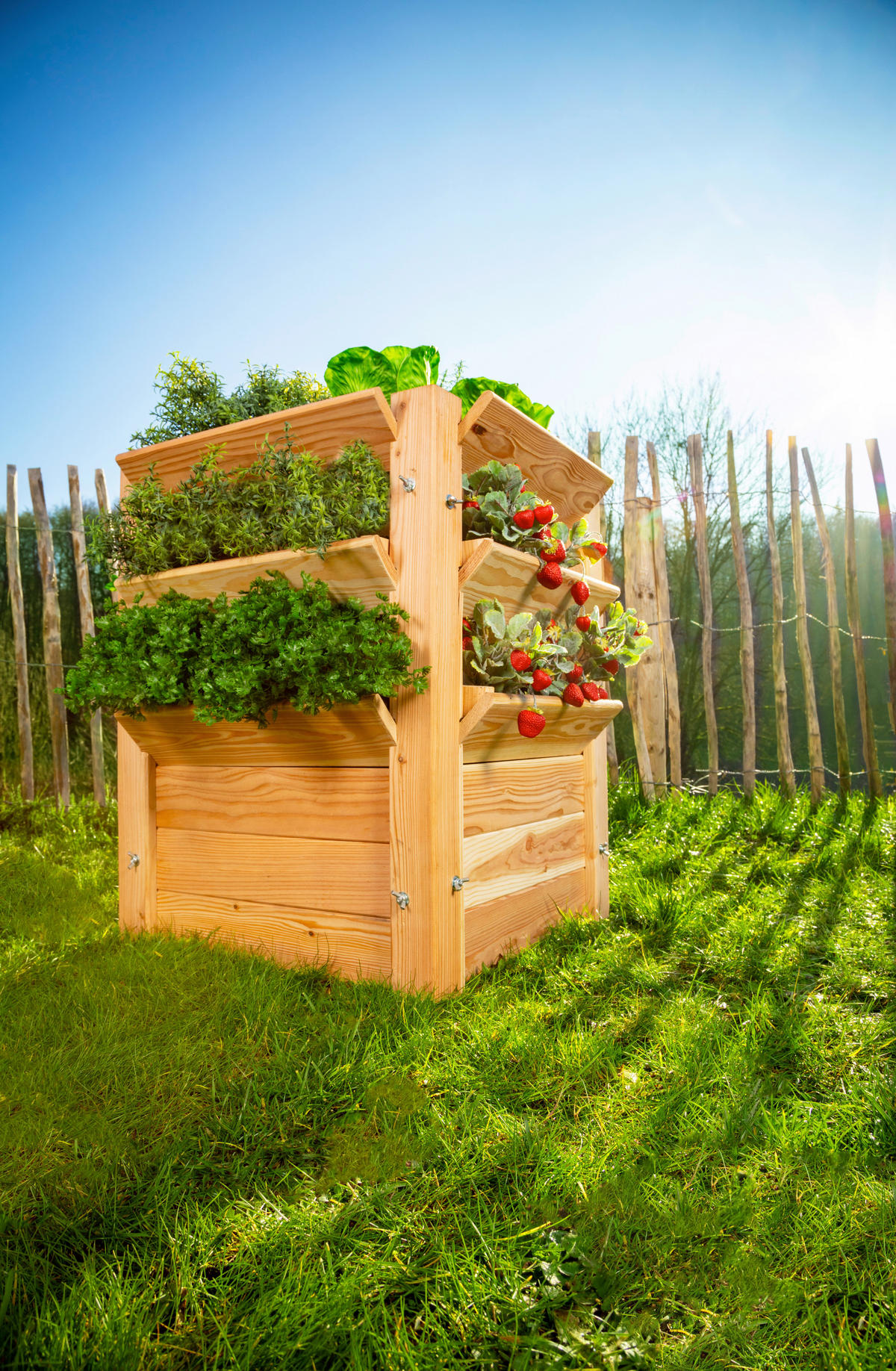 VYVÝŠENÝ ZÁHON   - farba smrekovca, Basics, drevo (65/73/65cm)