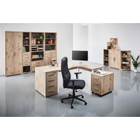 AKTENREGAL Eichefarben  - Eichefarben/Silberfarben, KONVENTIONELL, Holzwerkstoff/Kunststoff (43/210,4/39,5cm) - Voleo