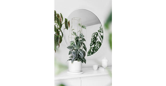 WANDSPIEGEL 50/50/0,5 cm  - Weiß, Trend, Glas/Metall (50/50/0,5cm) - Boxxx