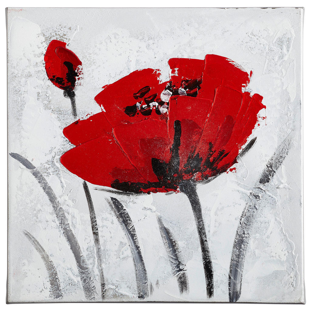 Monee OLEJOMALBA, květiny, 30/30 cm - červená,bílá - jedle