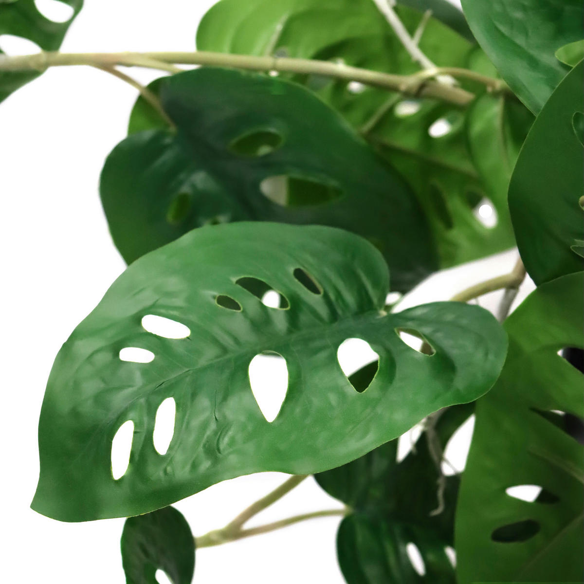 UMĚLÁ ROSTLINA monstera  - černá/zelená, Moderní, plast (75/100/63cm) - MID.YOU